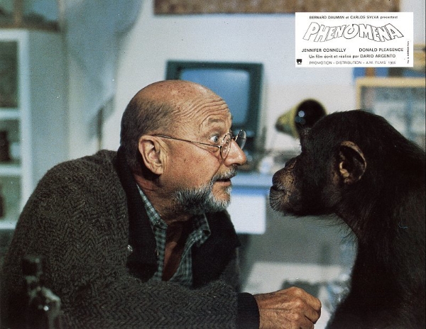 Donald Pleasence making faces at the chimp in Phenomena