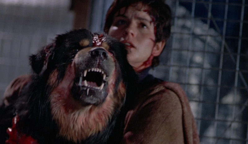 man's best friend dog horror movie