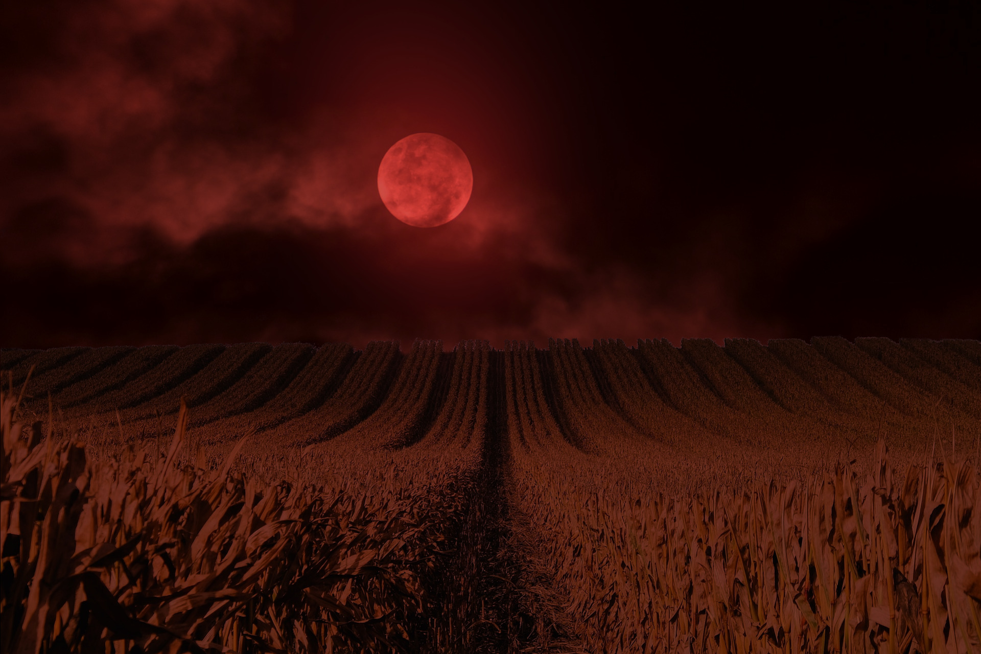 cornfield horror films