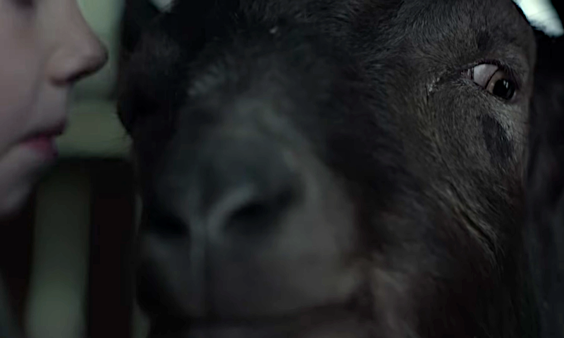 Black Phillip The Witch Wouldst Thou Like to Live Deliciously