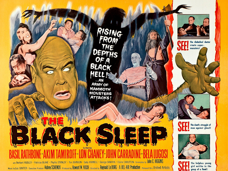 The Black Sleep AKA Dr Cadmans Secret