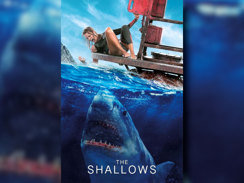 The Shallows great white shark horror