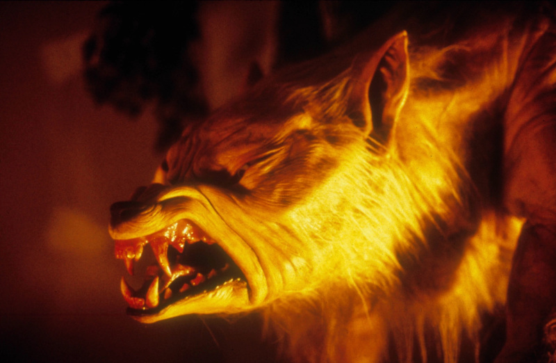 Ginger Snaps werewolf transformation