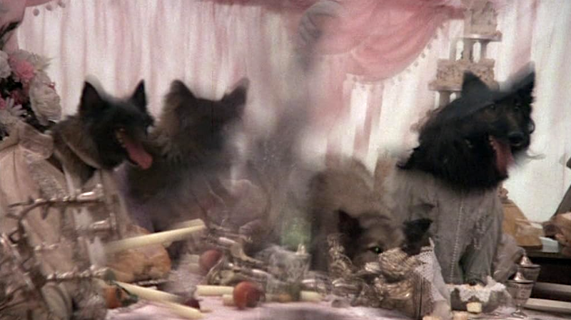 The Company of Wollves - horror movies best she-wolves