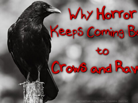 Why Horror Keeps Coming Back to Crows and Ravens crows and ravens in horror