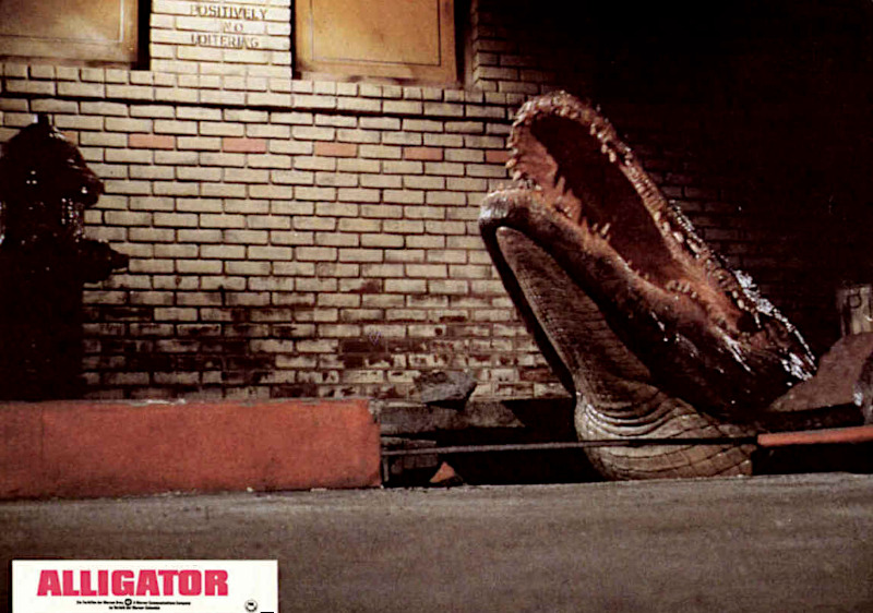 Alligator 1980