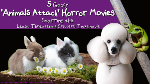5 Goofy ‘Animals Attack’ Horror Movies Starring the Least Threatening Critters Imaginable Funny Animals Attack Horror Movies List