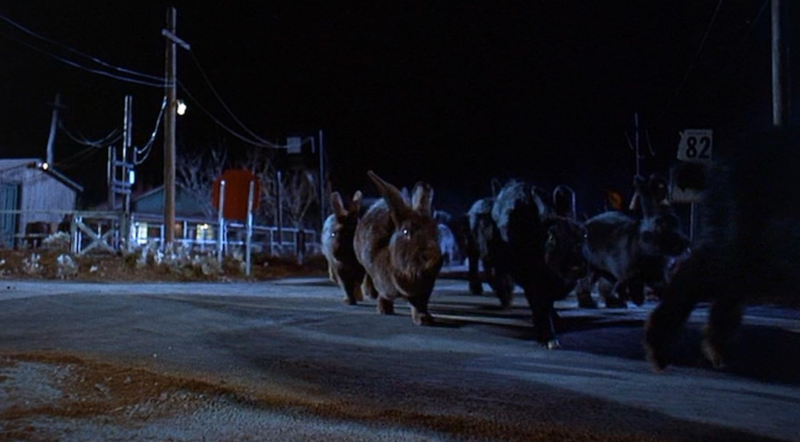 Night of the Lepus bunny horror film