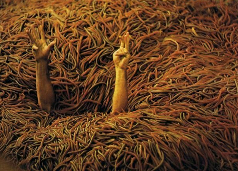 Squirm worm pile stunt