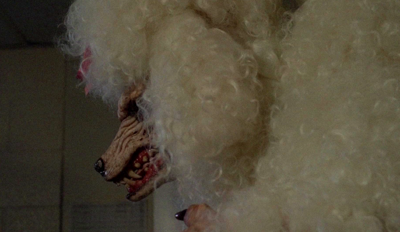 The Boneyard zombie poodle