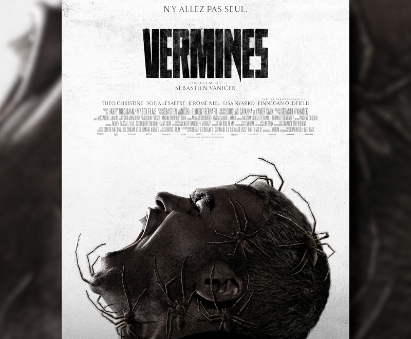 Vermines AKA The Infested French spider horror film