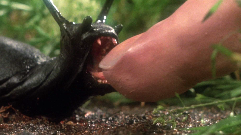 slugs 1988